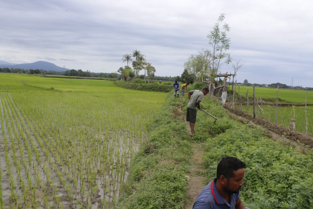 70 % WILAYAH GAMPONG ADALAH HAMPARAN PERTANIAN